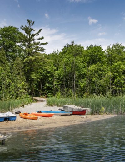 Sandy shore with kayaks and a pedal boat by a wooden dock near green reeds and forest.