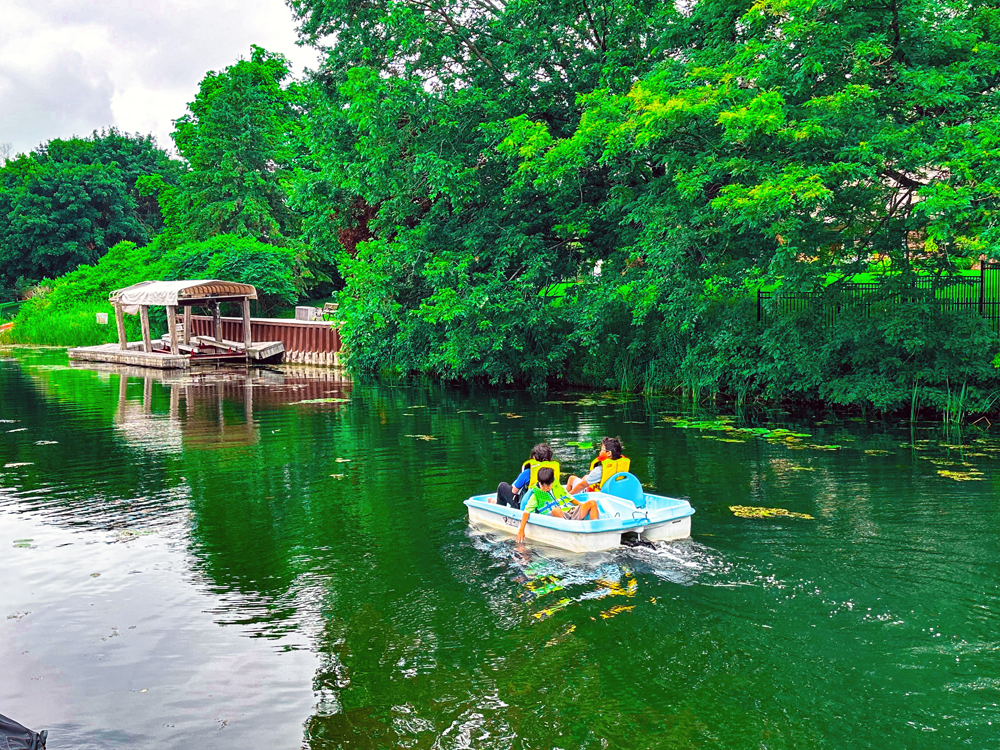 Lake Simcoe Villa-Peddleboating